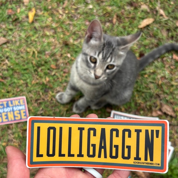 Goodsoutherner Stickers Set - Picture 2 of 3
